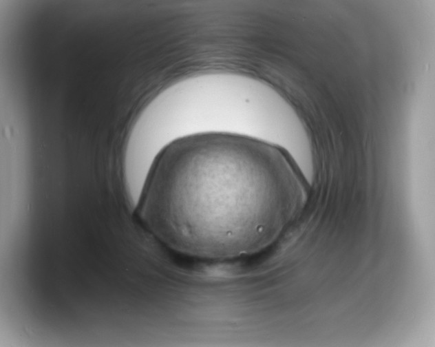 X0000103250268200809181611