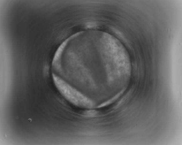 X0000103250269200809181611