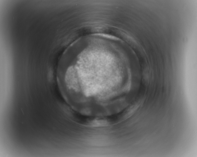 X0000103250270200809181611