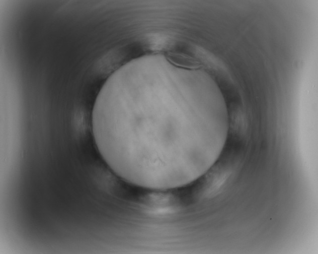 X0000103250272200809181611