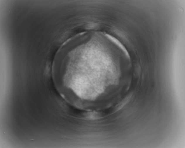 X0000103250273200809181611