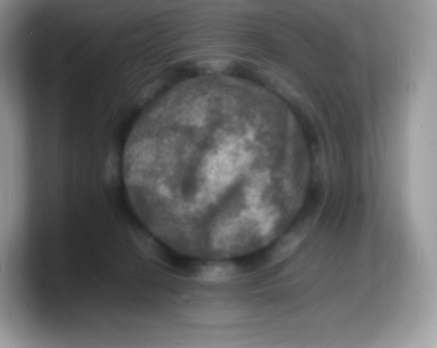 X0000103250274200809181611