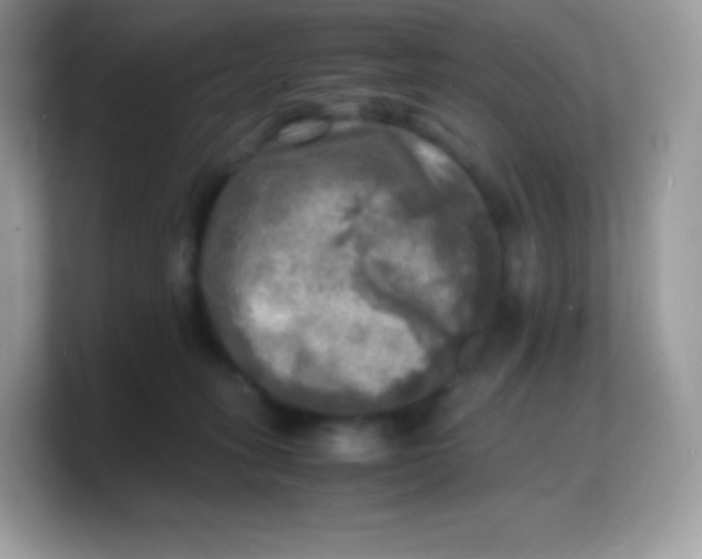 X0000103250275200809181611