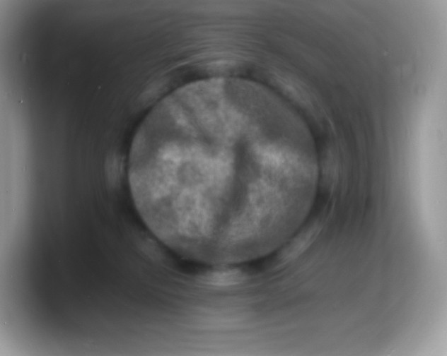 X0000103250278200809181611