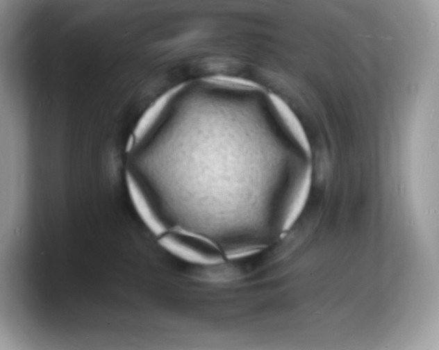 X0000103250279200809181611