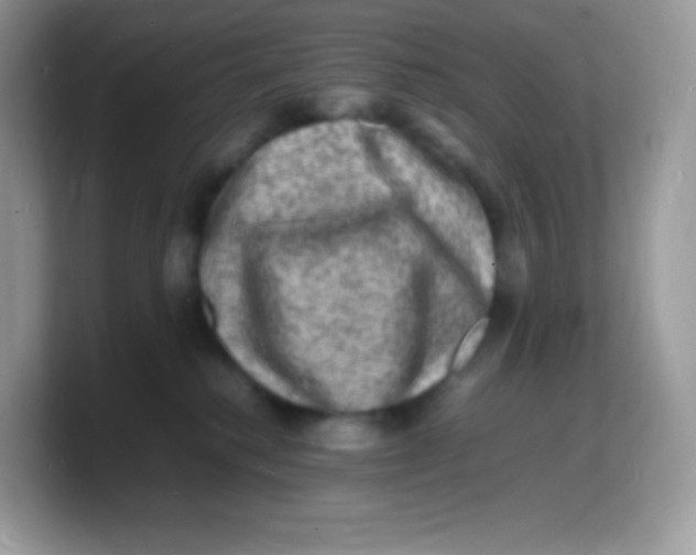 X0000103250280200809181611