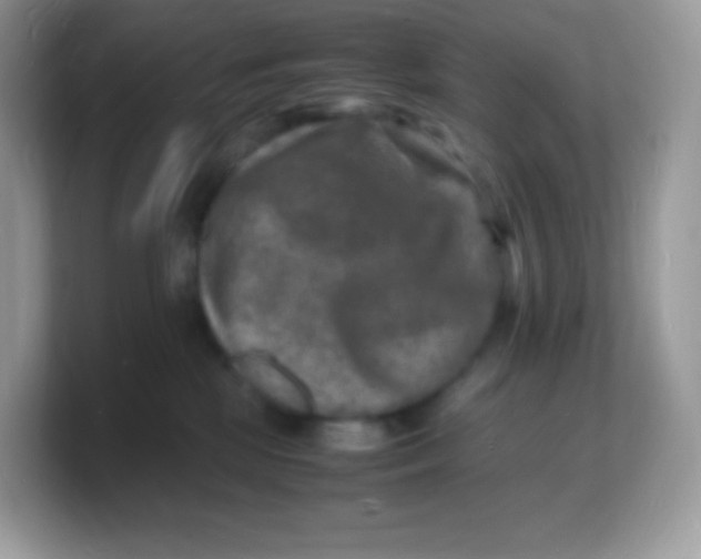 X0000103250281200809181611