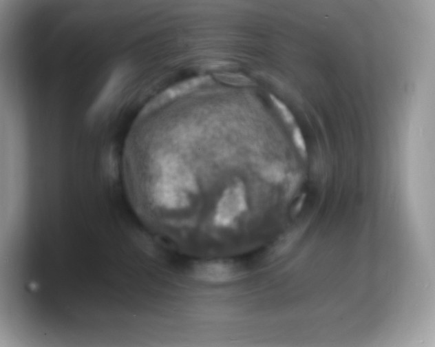 X0000103250282200809181611