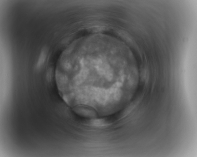 X0000103250283200809181611