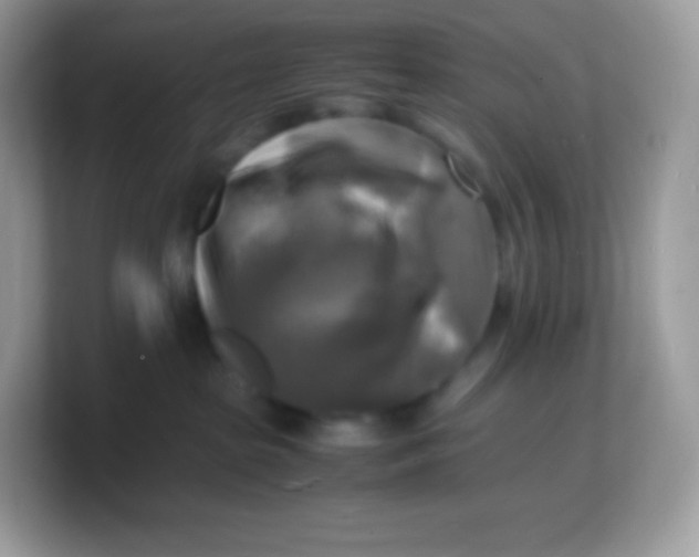 X0000103250285200809181611