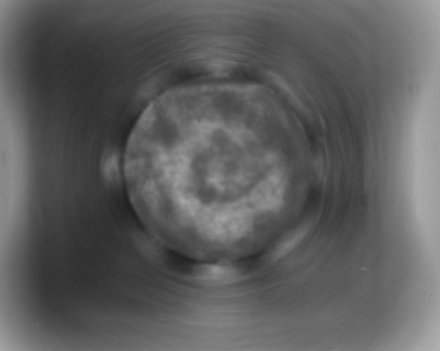 X0000103250286200809181611
