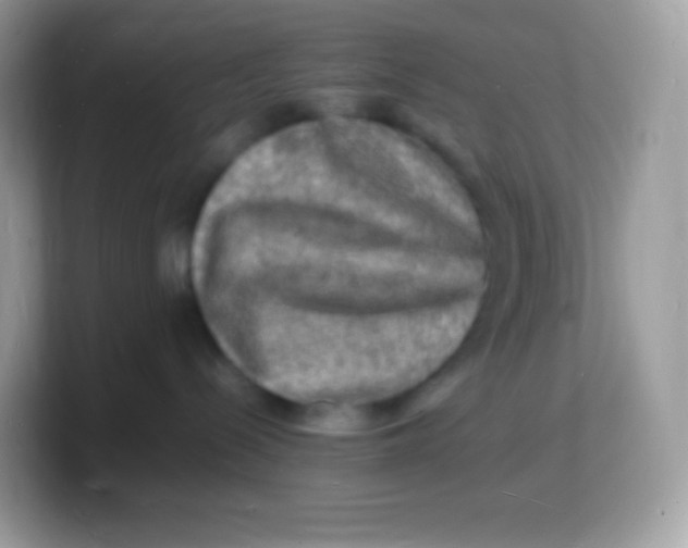 X0000103250288200809181611