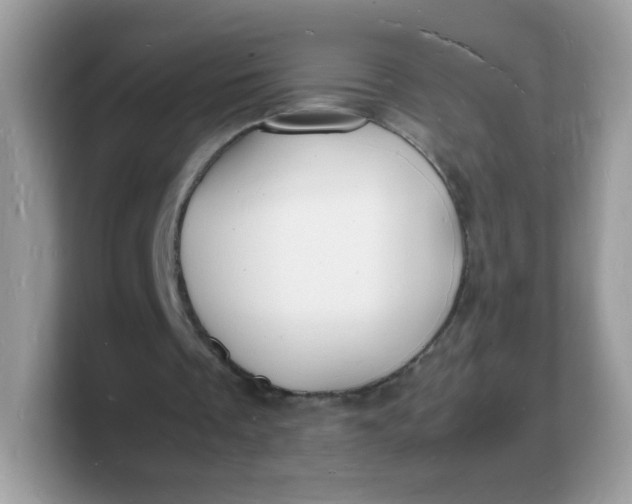 X0000103250289200809181610