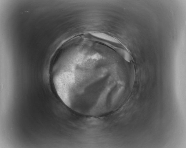 X0000103250290200809181610