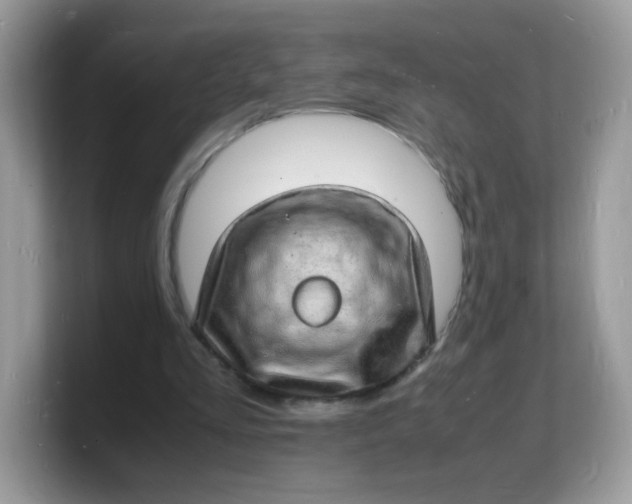 X0000103250293200809181610