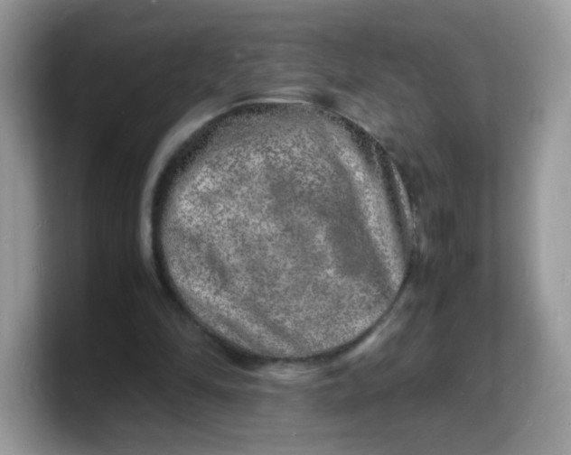 X0000103250294200809181610