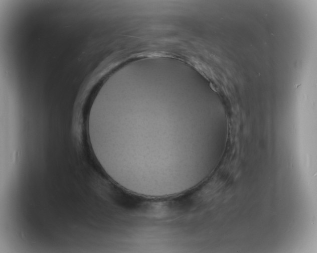 X0000103250295200809181610
