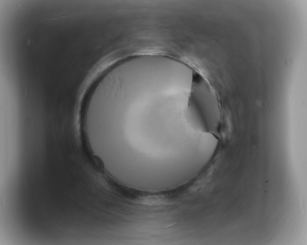 X0000103250296200809181610
