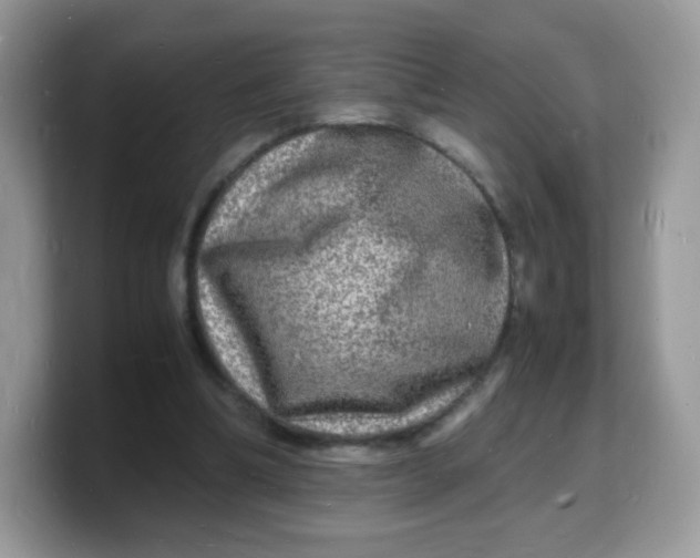 X0000103250298200809181610