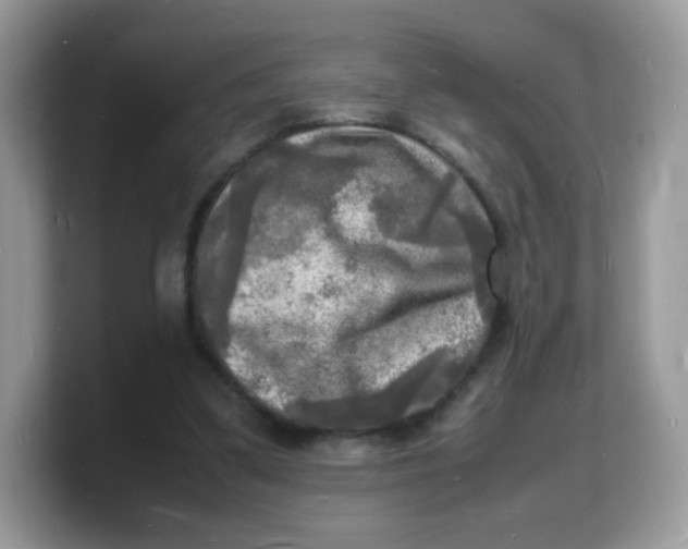 X0000103250299200809181610