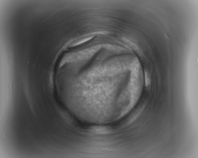 X0000103250300200809181610