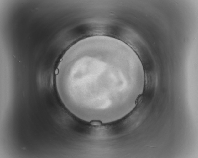 X0000103250301200809181610