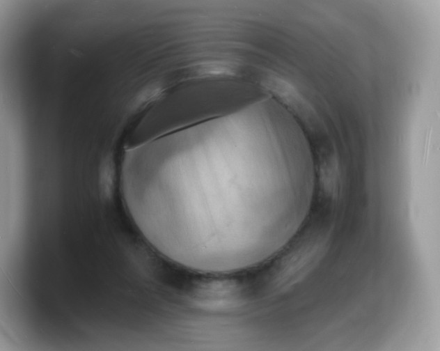 X0000103250304200809181610