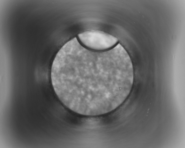 X0000103250305200809181610