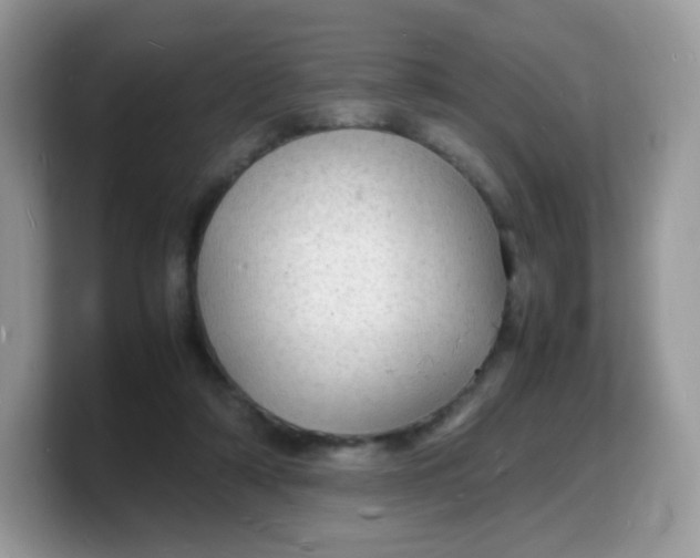 X0000103250306200809181610