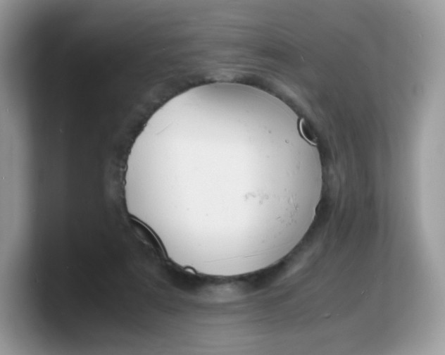 X0000103250307200809181610