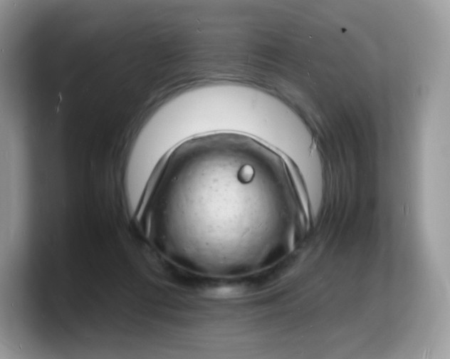 X0000103250312200809181610