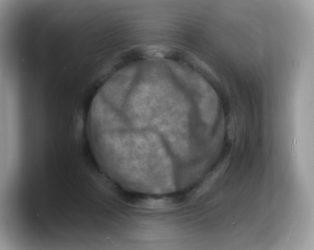 X0000103250314200809181610
