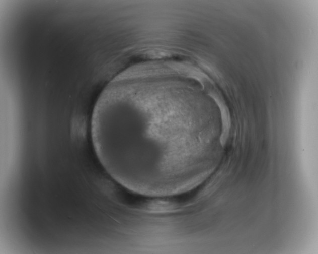 X0000103250315200809181610