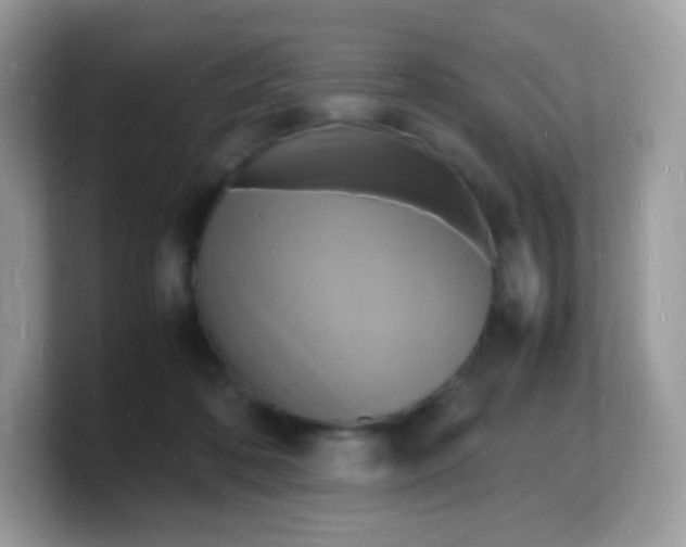 X0000103250316200809181610