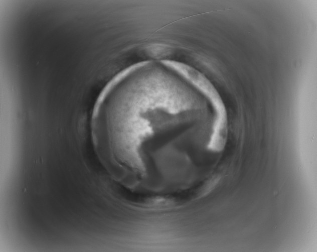 X0000103250319200809181610