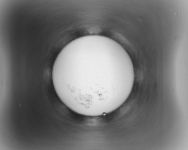 X0000103250321200809181610