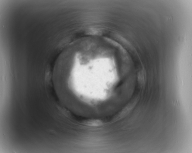 X0000103250322200809181610