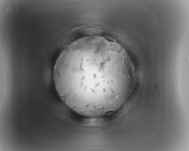 X0000103250323200809181610