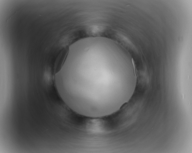 X0000103250324200809181610