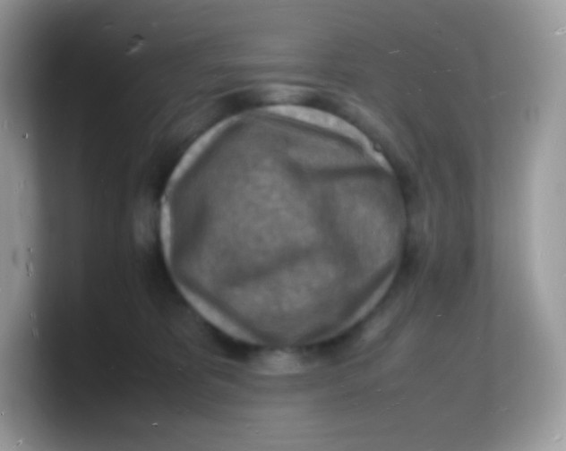 X0000103250325200809181610