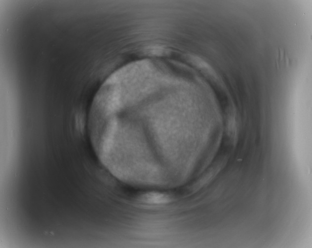 X0000103250326200809181610