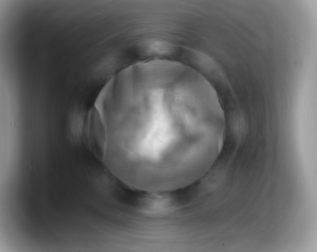 X0000103250328200809181610