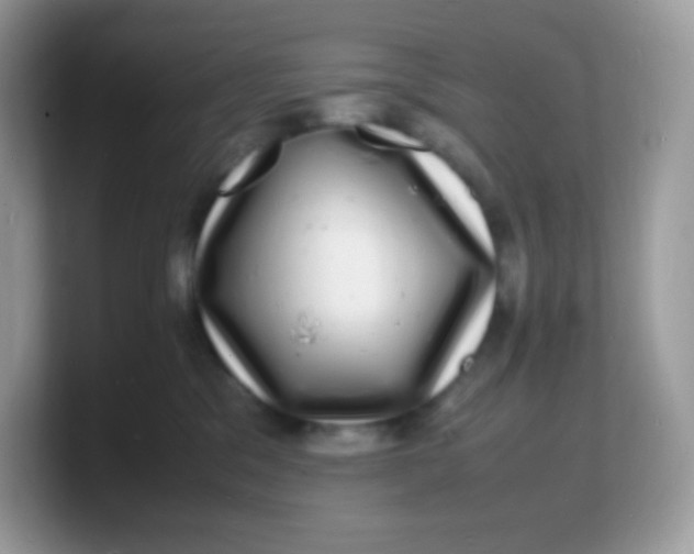 X0000103250329200809181610