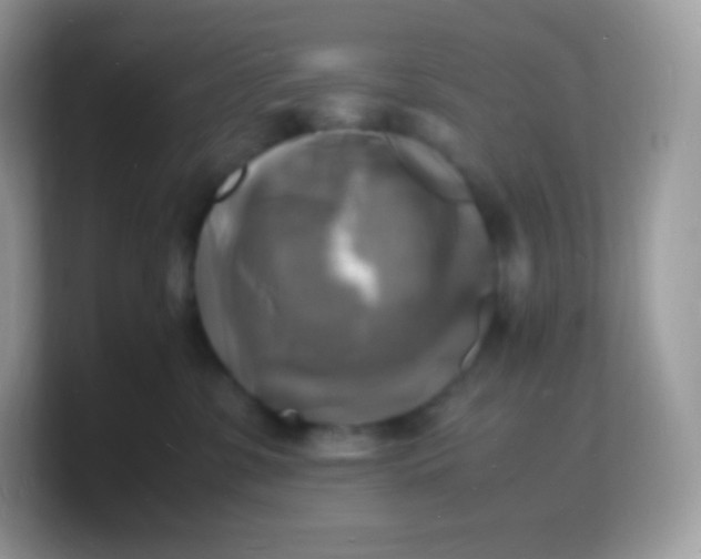 X0000103250331200809181610