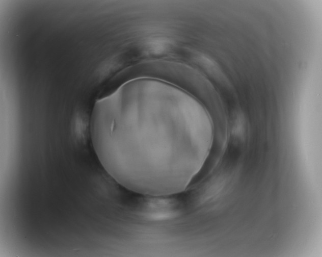 X0000103250332200809181610