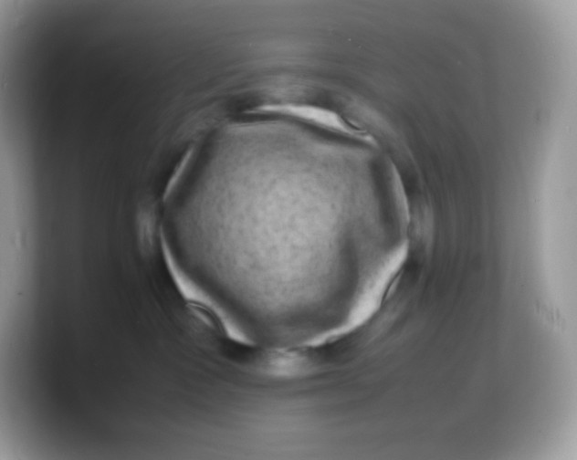 X0000103250333200809181610