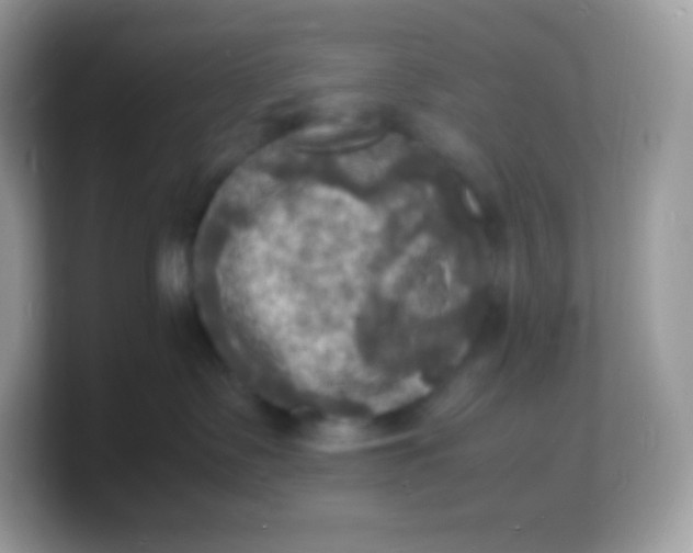 X0000103250335200809181610