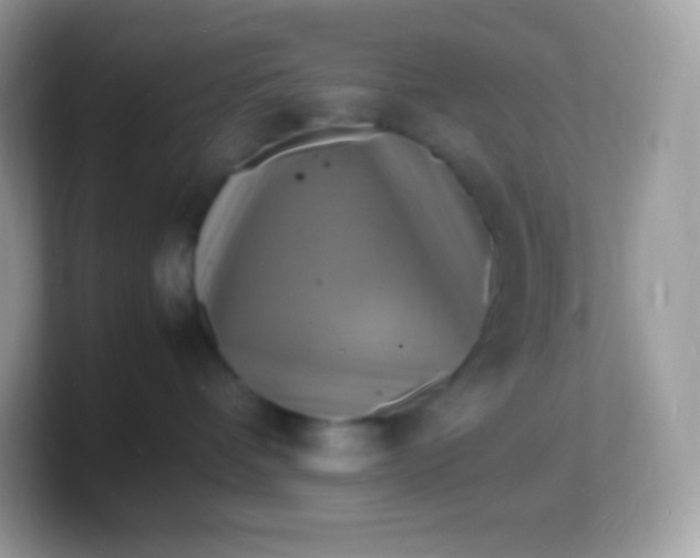 X0000103250336200809181610