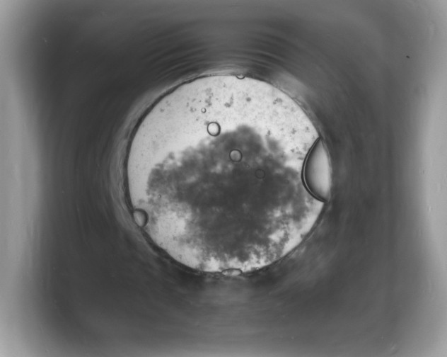 X0000103250337200809181609