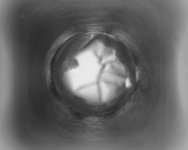 X0000103250339200809181609